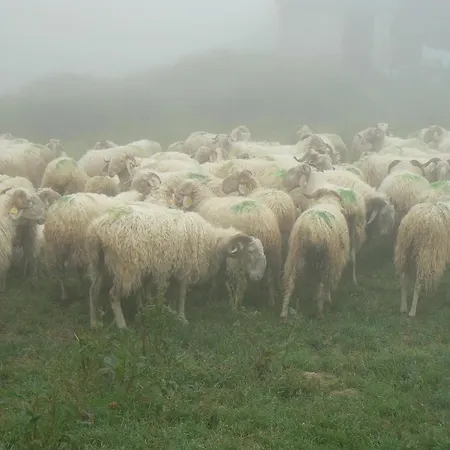 Oda ve Kahvaltı Cavaliere, Chambres D'hotes