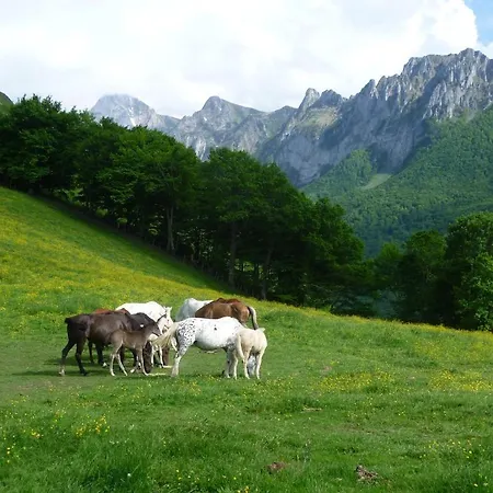 Auberge Cavaliere, Chambres D'Hotes Bed & Breakfast Lourdes